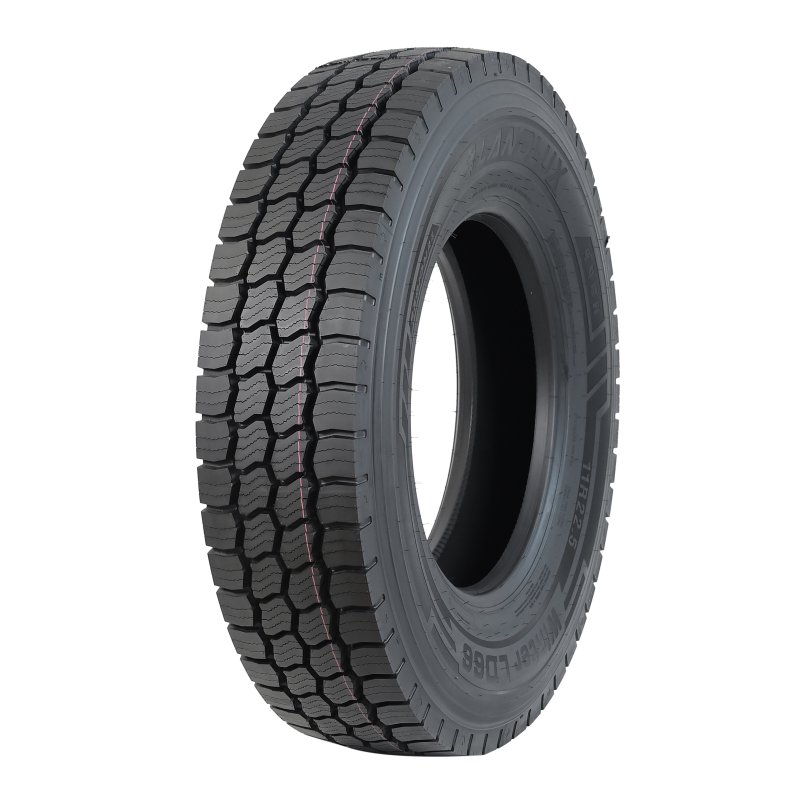 WINTER LD66 11R22.5 (3)